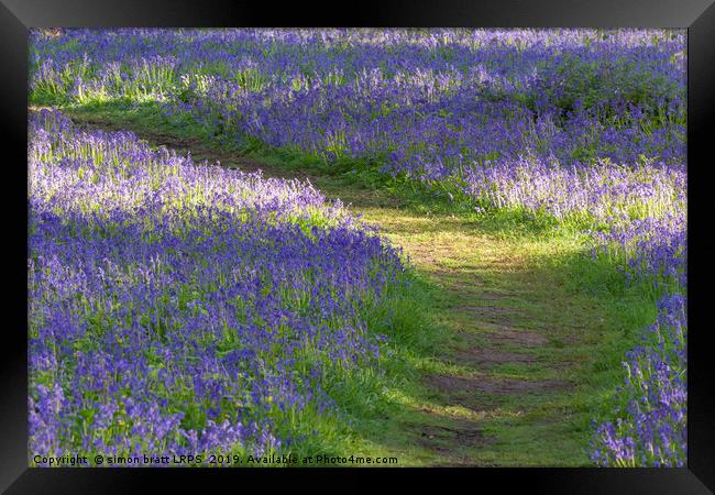 Path through bluebell woodland in spring Framed Print by Simon Bratt LRPS