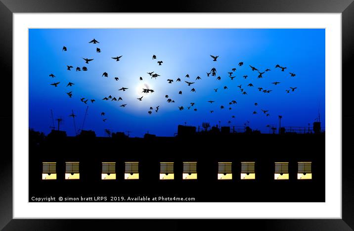 Building windows asleep with birds Framed Mounted Print by Simon Bratt LRPS