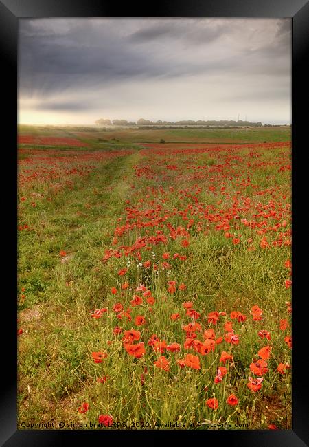 Vast red poppy fields at dawn Framed Print by Simon Bratt LRPS