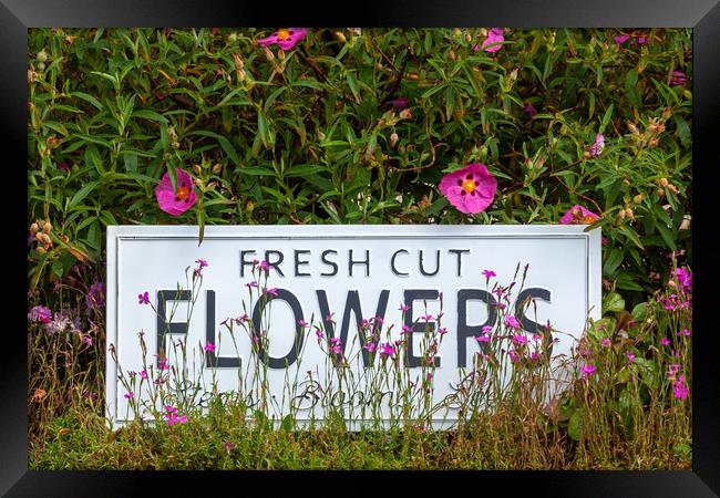 Garden flowers with fresh cut flower sign 0711 Framed Print by Simon Bratt LRPS