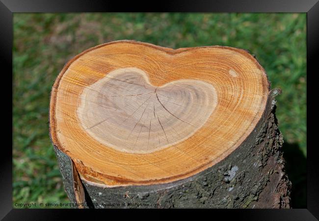 Tree trunk with love heart growth rings Framed Print by Simon Bratt LRPS