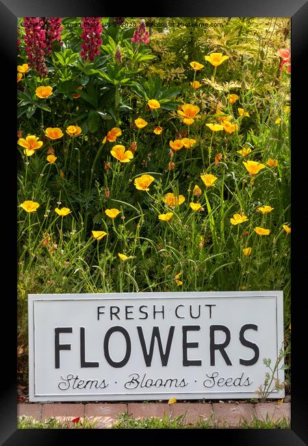 Garden flowers with fresh cut flower sign 0749 Framed Print by Simon Bratt LRPS