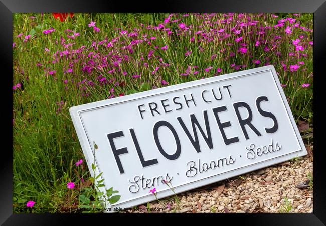 Garden flowers with fresh cut flower sign 0737 Framed Print by Simon Bratt LRPS