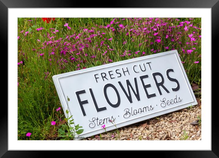 Garden flowers with fresh cut flower sign 0737 Framed Mounted Print by Simon Bratt LRPS