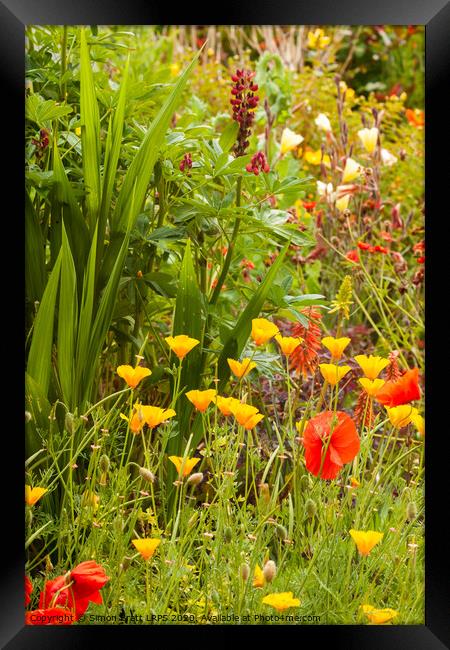 Beautiful garden flowers in summer time Framed Print by Simon Bratt LRPS