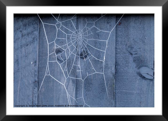 Spiders web on fence covered in ice Framed Mounted Print by Simon Bratt LRPS