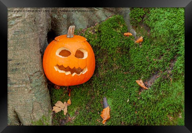 Scary halloween pumpkin in the woods Framed Print by Simon Bratt LRPS