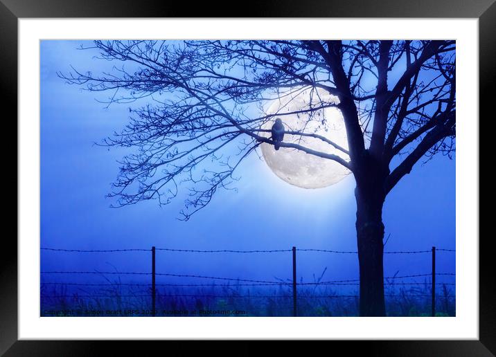 Bird hunting by blue moon light Framed Mounted Print by Simon Bratt LRPS