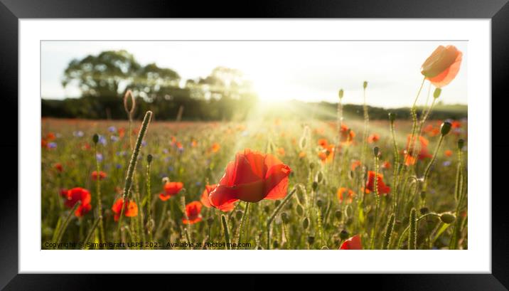 Hampshire England poppy field landscape Framed Mounted Print by Simon Bratt LRPS