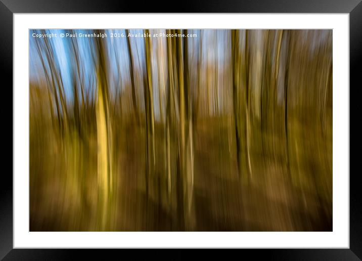 Trees in Motion Framed Mounted Print by Paul Greenhalgh