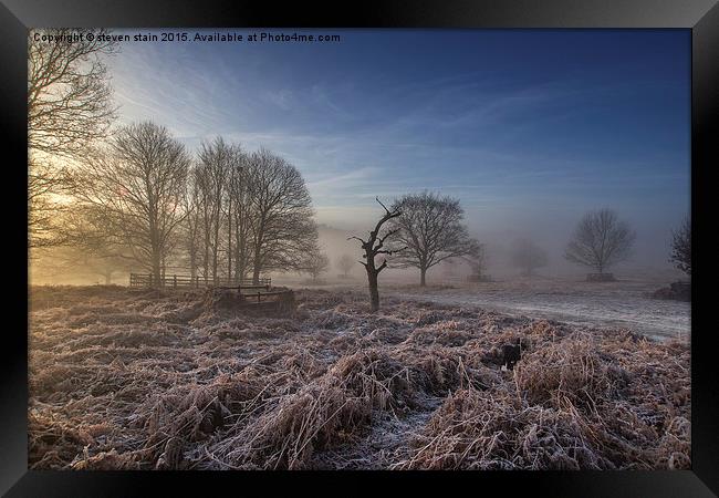  To cold for me Framed Print by steven stain