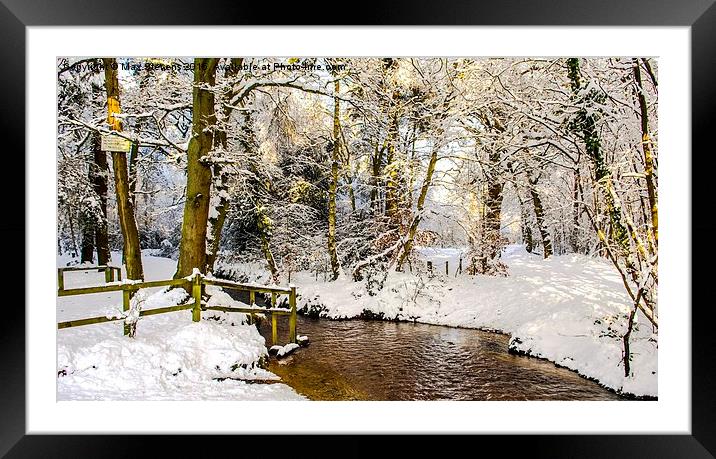  Snowy winter glade Framed Mounted Print by Max Stevens