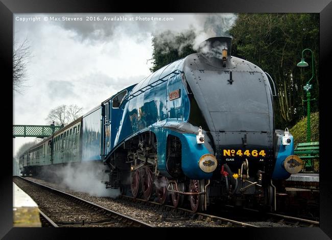 Locomotive 4464 Bittern at Medstead Station on the Watercress line Framed Print by Max Stevens