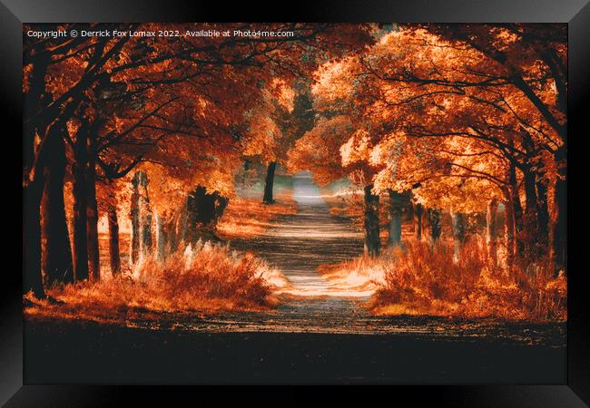 Autumn trees  in rivington Framed Print by Derrick Fox Lomax