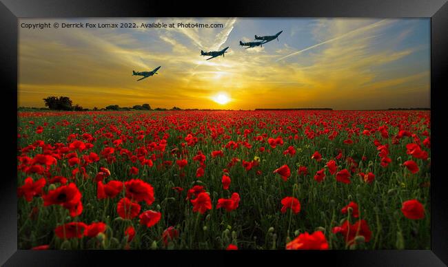 spitfires over a poppy field Framed Print by Derrick Fox Lomax