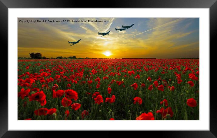 spitfires over a poppy field Framed Mounted Print by Derrick Fox Lomax