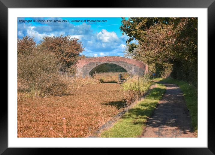 Radcliffe canal Framed Mounted Print by Derrick Fox Lomax