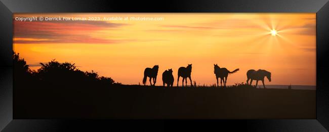 Horses at sunset in Bury lancs Framed Print by Derrick Fox Lomax