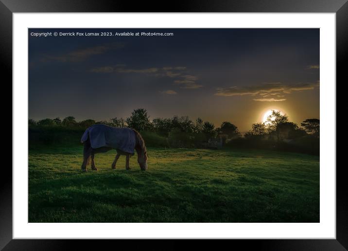 Dawn's Embrace: Birtle's Lone Horse Framed Mounted Print by Derrick Fox Lomax