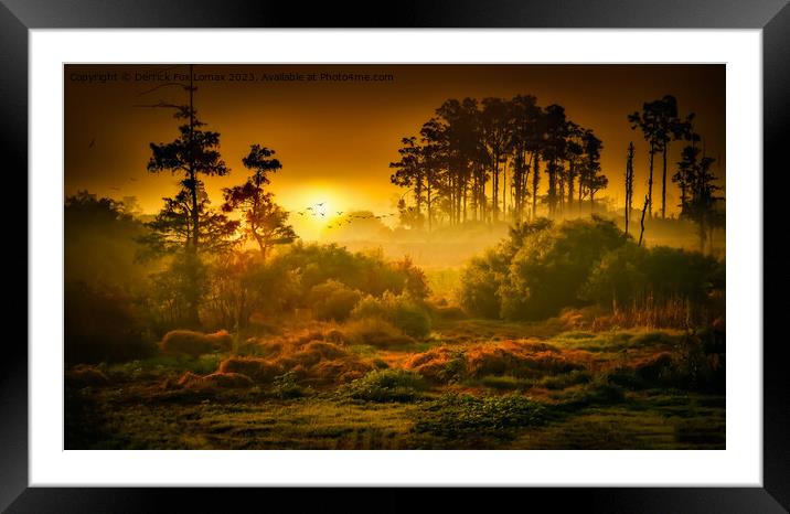 Autumn morning Framed Mounted Print by Derrick Fox Lomax