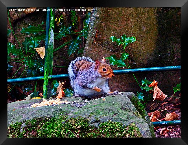  squirrell feeding Framed Print by Derrick Fox Lomax