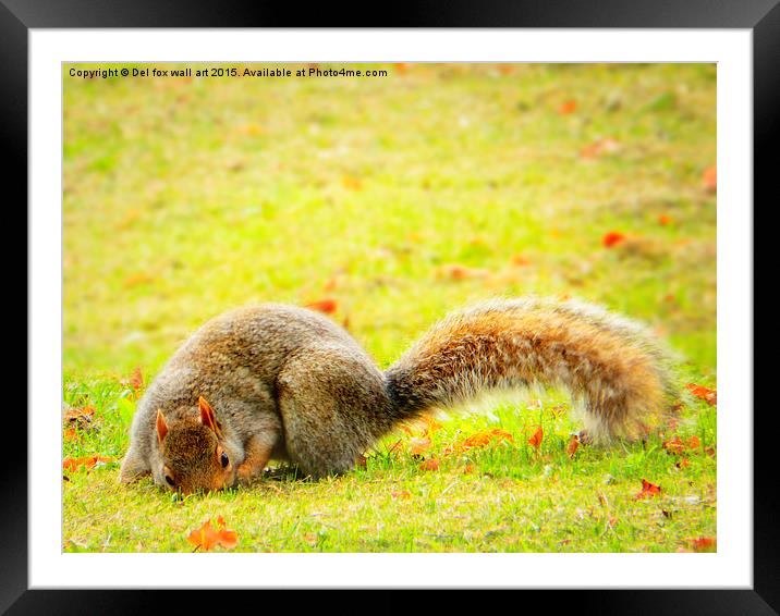 hiding food Framed Mounted Print by Derrick Fox Lomax