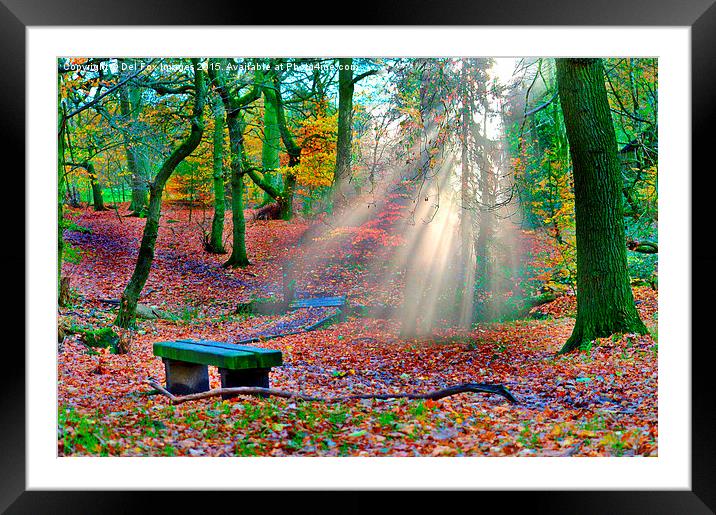  woodland sunrays Framed Mounted Print by Derrick Fox Lomax