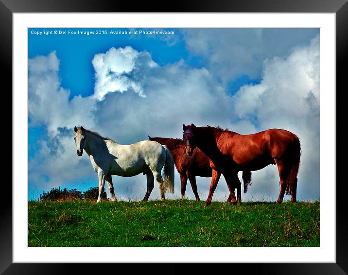  horses on the hill Framed Mounted Print by Derrick Fox Lomax