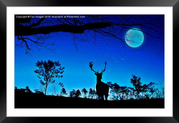  deer and moon Framed Mounted Print by Derrick Fox Lomax