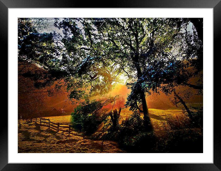  sunny countryside Framed Mounted Print by Derrick Fox Lomax
