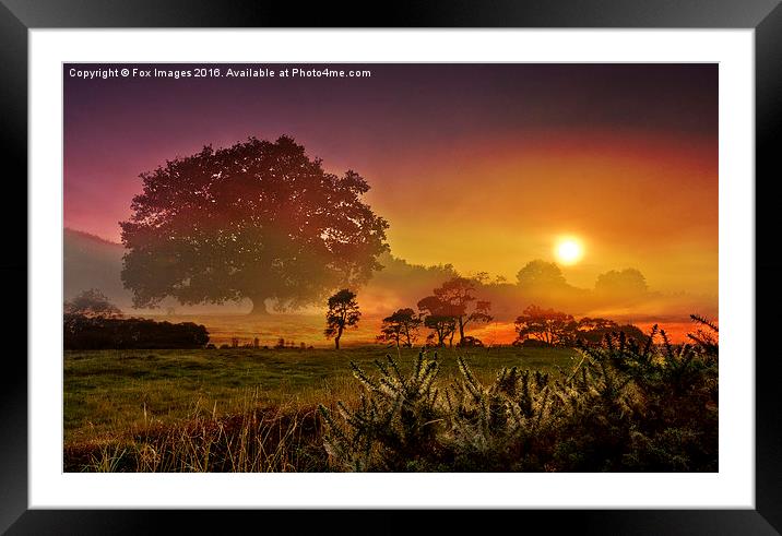 Enigmatic Evening Glow Framed Mounted Print by Derrick Fox Lomax