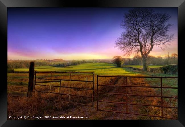 morning meadows sunrise Framed Print by Derrick Fox Lomax