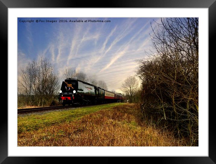 Golden Arrrow Train Framed Mounted Print by Derrick Fox Lomax