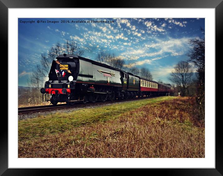 Golden Arrrow Train Framed Mounted Print by Derrick Fox Lomax
