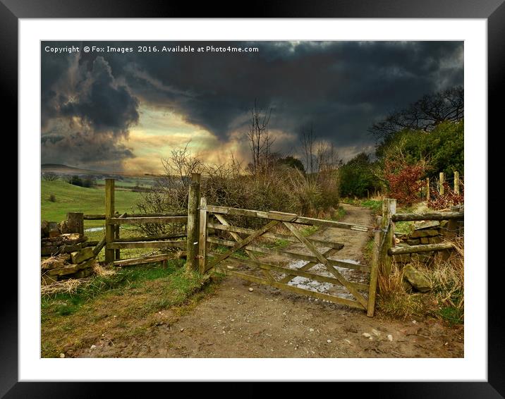 Countryside view Framed Mounted Print by Derrick Fox Lomax