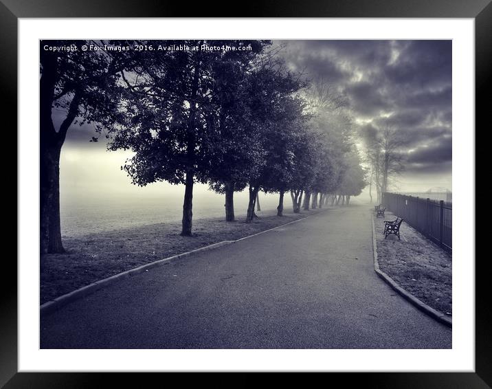Foggy in the park Framed Mounted Print by Derrick Fox Lomax