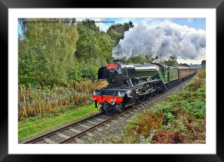 The flying scotsman at burrs Framed Mounted Print by Derrick Fox Lomax