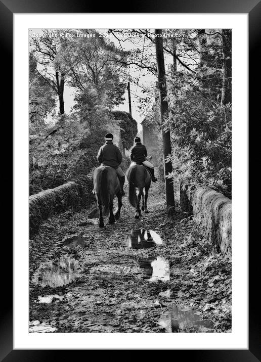 Horses in the countryside Framed Mounted Print by Derrick Fox Lomax