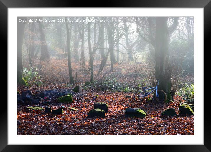 Fog in the Forest Framed Mounted Print by Derrick Fox Lomax