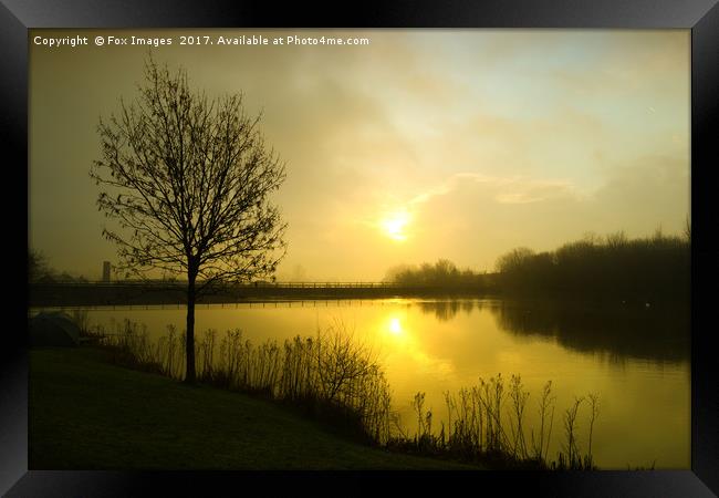 Sunrise on Birtle Brook lodge Framed Print by Derrick Fox Lomax