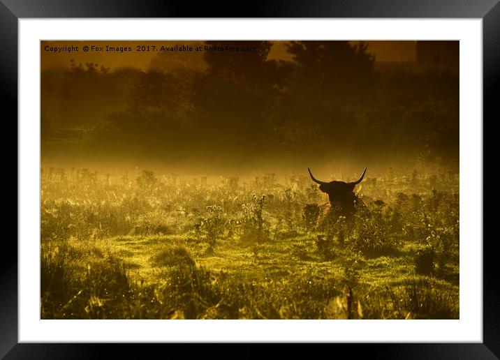 Misty morning Framed Mounted Print by Derrick Fox Lomax