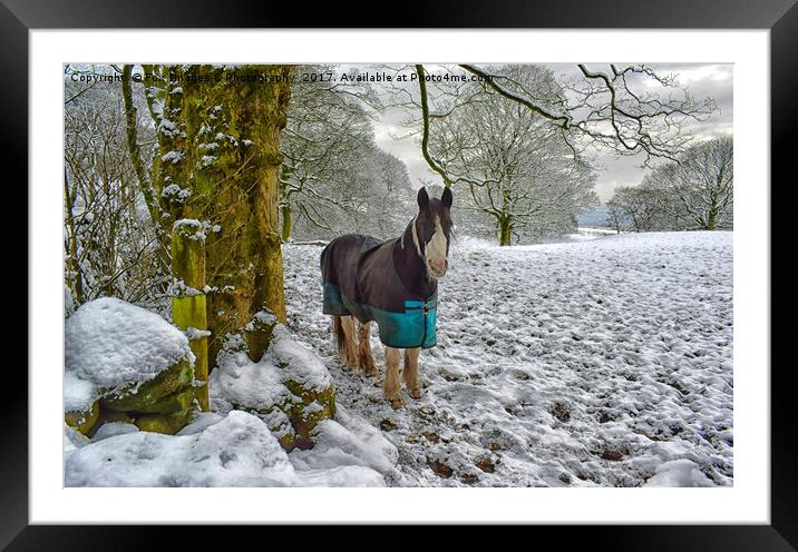 Horse and snow Framed Mounted Print by Derrick Fox Lomax