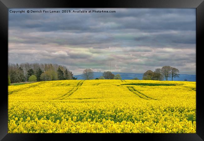 Lancashire countryside Framed Print by Derrick Fox Lomax