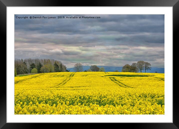 Lancashire countryside Framed Mounted Print by Derrick Fox Lomax