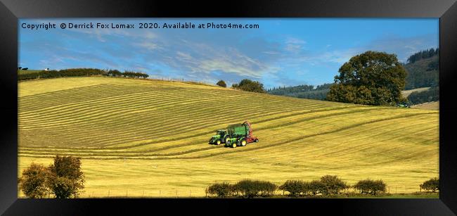 Skipton farming yorkshire Framed Print by Derrick Fox Lomax
