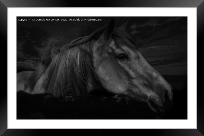 Horse At Midnight Framed Mounted Print by Derrick Fox Lomax