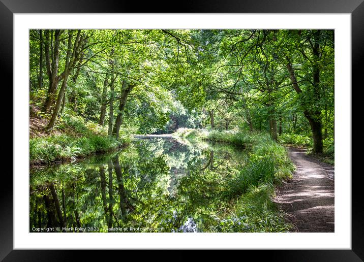 Woodland reflections on Basingstoke Canal Framed Mounted Print by Mark Poley