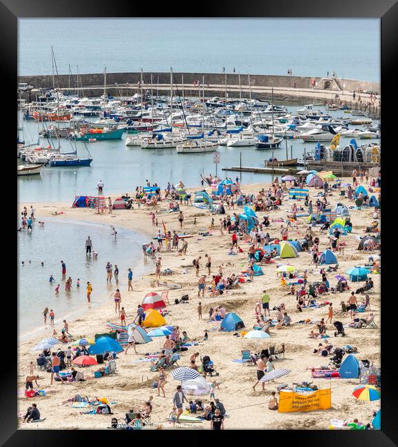 Lyme Regis Beach and Harbour Framed Print by Mark Poley