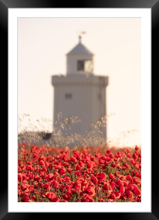 Remembrance Poppies Framed Mounted Print by Trevor Sherwin