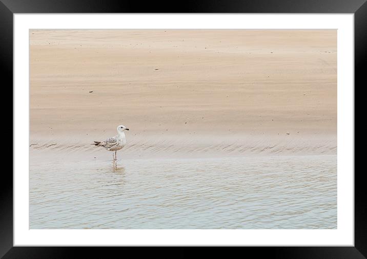  Solitude - at the waters edge Framed Mounted Print by Chris Warham